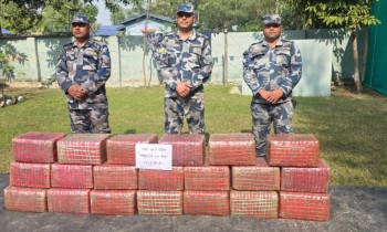 पर्सामा सशस्त्र प्रहरीद्वारा २ सय १३ किलो लागु औषध गाँजा बरामद