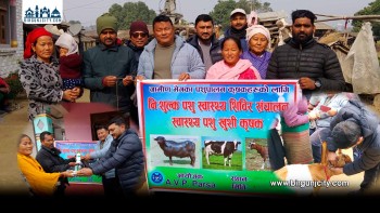 ग्रामीण पशुपालक कृषकका लागि निःशुल्क पशु स्वास्थ्य शिविर सम्पन्न,  ६ सय ७७ वटा पशुहरूको निःशुल्क स्वास्थ्य परीक्षण