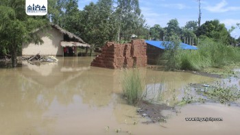 कञ्चनपुरका ५२ घर र सशस्त्र प्रहरीका २ वटा बिओपी बाढीले डुबायो