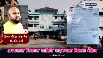 बिमल पौडेल नारायणी अस्पताल विकास समितिको सदस्यमा मनोनीत