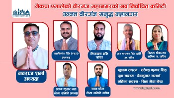 एमाले वीरगञ्ज महानगर कमिटीको अध्यक्षमा नवराज शर्मा, उपाध्यक्षमा पराग र सचिवमा लयाकत सहितका  प्यानलै निर्वाचित