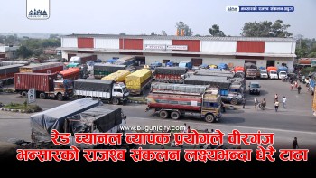 रेड च्यानलकाे अत्याधिक प्रयाेगले वीरगंज भन्सारको राजश्व संकलन अपुग, सुख्खा बन्दरगाहकाे भने उत्साहजनक