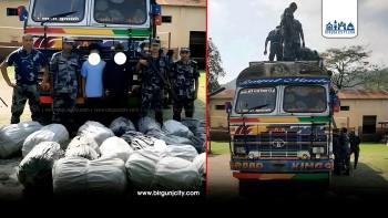 सशस्त्र प्रहरीद्वारा सुनसरीमा ७८३ किलो गाँजासहित दुई जना पक्राउ