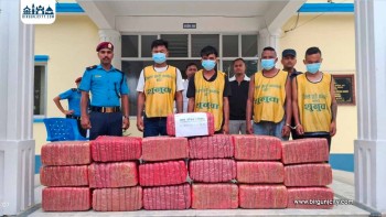 बारामा २१२ किलो गाँजासहित चार जना पक्राउ, पिकअप गाडी नियन्त्रणमा