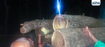 चुनावको माहौलमा राष्ट्रिय वनबाट धमाधम अवैध रूपमा काठ तस्करी,  स्थानीयले काठ सहित ट्याक्टर नियन्त्रणमा लिएर प्रहरीलाई बुझाए, प्रहरीमा बार्गेनिङ भइरहेको स्थानीयकाे गुनासो