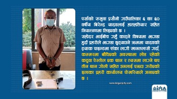 पर्सामा कटुवा पेस्तोल र गोलीसहित ६० वर्षीय बिरेन्द्र यादव पक्राउ