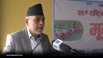 धानमा आत्मनिर्भरता हासिल गर्न सरकारले आवश्यक सबै काम गर्छ: कृषि मन्त्री अधिकारी