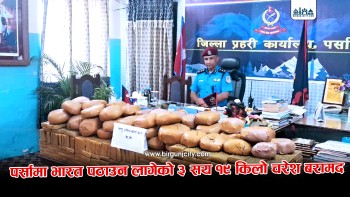 पर्सामा ३ सय १९ किलो चरेस सहित ट्रक चालक पक्राउ, एक लाख ९२ हजार नगद समेत बरामद (भिडियाे सहित)