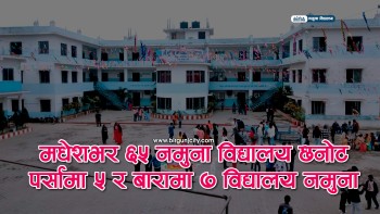 मधेश प्रदेशका ६५ विद्यालय ‘नमुना विद्यालय’का रूपमा घोषणा, पर्साबाट ५ र बाराबाट ७ विद्यालय छनाेट