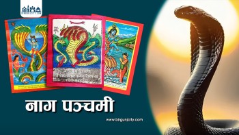 सांस्कृतिक आस्थाको पर्व: नाग पञ्चमी (भिडियाे सहित)