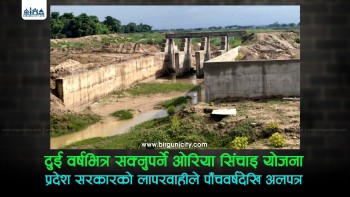 प्रदेश सरकारको लापरवाहीले २८ सय बिघा सिँचाइ हुने ओरिया सिंचाइ योजना अलपत्र