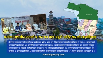 पर्साका स्थानीय तहकाे ५ सय ५३ वटा उजूरी अख्तियारकाे स्क्रिनिङ समितिबाट पास भएर छानविनकाे क्रममा, सबैभन्दा बढी वीरगंज महानगरकाे