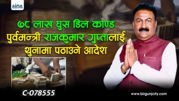 पोखरा लिचीबारी घुस प्रकरणमा पूर्वमन्त्री राजकुमार गुप्तालाई थुनामा पठाउने आदेश (भिडियाे सहित)