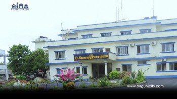 ठक्कर दिएर फरार रहेका ट्याङ्कर चालक पक्राउ