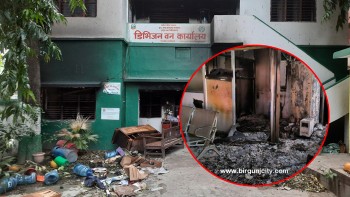 जेनजी प्रदर्शनबाट सप्तरी वन डिभिजन कार्यालयमा १ करोड ७१ लाखभन्दा बढीको क्षति