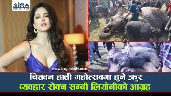 चितवन हात्ती महोत्सवमा हुने क्रुर व्यवहार रोक्न सन्नी लियोनीको आग्रह (भिडियाे सहित)