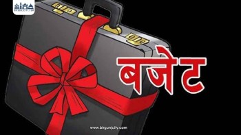 ६१ स्थानीय तहले अझै बजेट सार्वजनिक गर्न सकेनन्