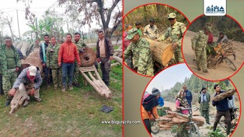 रौतहटमा अवैध वन पैदावार र अतिक्रमण नियन्त्रणमा डिभिजन वन कार्यालय सक्रिय