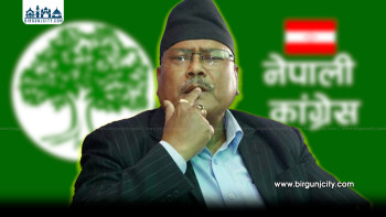 विजयकुमार गच्छदारको ५० वर्षे राजनीतिक यात्रा समाप्त, अशोककुमार चौधरी सुनसरी–३ मा विजयी