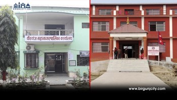 वीरगंज महानगर र पर्सागढी नगरपालिकाको आन्तरिक आय लक्ष्य क्रमशः धराशायी, स्थानीय कर प्रशासन सुधारको आवश्यकता