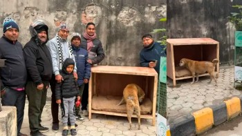 वीरगंजमा सडकका कुकुरका लागि अस्थायी ‘डग हाउस’को व्यवस्था