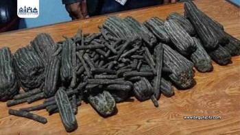 पर्सामा धान खेतभित्र लुकाइराखिएको  ५४  किलोभन्दा बढी चरेस बरामद