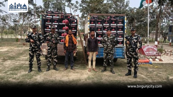 सर्लाहीको सीमानाकामा ठुलो मात्रामा चिनियाँ स्याउ बरामद