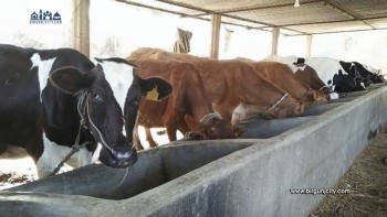 मधेस प्रदेशका २५ पालिकामा कृषि तथा पशुपक्षी उपचार केन्द्र निर्माण