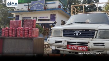 सर्लाहीको लालबन्दीबाट ५२ केजी गाँजासहित एक युवक पक्राउ