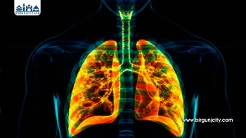 फोक्सो: शरीरको जीवनदायी अंग र यसको स्वास्थ्य