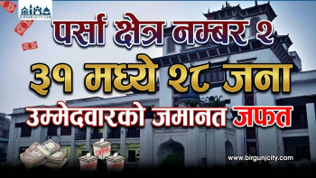 पर्सा क्षेत्र नम्बर २ मा ३१ मध्ये २८ जना उम्मेदवारको जमानत जफत ( भिडियोसहित )