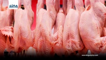 गर्मीमा खपत घटेपछि कुखुराको मासु पुनः सस्तो, जिउँदो कुखुरामा १० र तयारी मासुमा १५ रुपैयाँ घट्यो