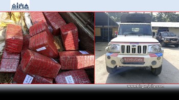 पर्सामा १ सय ७६ केजी गाँजासहित पिकअप गाडी र चालक नियन्त्रणमा