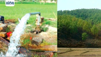 समयमै पानी नपर्दा मधेशमा धान रोपाइँ र खानेपानीको संकट, दीर्घकालीन समाधानको खाँचो