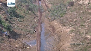 सप्तरीमा चन्द्र नहर अतिक्रमणले किसान मर्कामा, सिँचाइमा समस्या