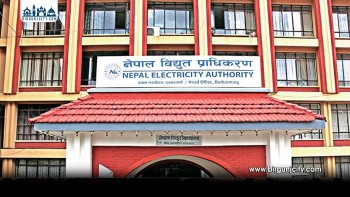 नेपाल विद्युत् प्राधिकरणद्वारा २६६ पदमा कर्मचारी माग, माघ ८ गतेसम्म आवेदन