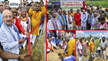 जगरनाथपुरमा ८ बिघा जग्गामा सामूहिक वृक्षारोपण