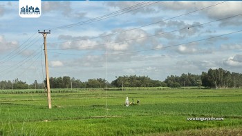 बोरिङको मोटर चलाउने क्रममा करेन्ट लागेर एक किसानको मृत्यु