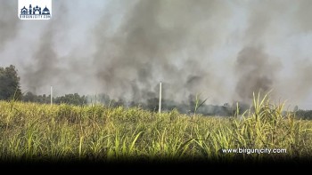 सर्लाहीको गोडैता–४ मा आगलागी, ५०–६० बिघा उखु बाली जलेर नष्ट