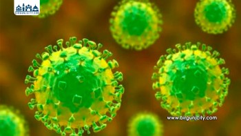 नेपालमा निपाह भाइरसको सम्भावित संक्रमणविरुद्ध स्वास्थ्य महाशाखाद्वारा सतर्कता निर्देशन